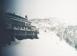 hippiesandgypsies:  greekg0ds:  NIEVE by