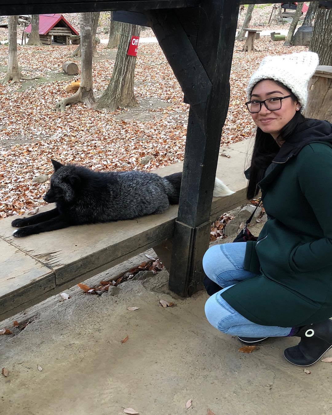 everythingfox:  Miyagi Zao Fox Village📷: Zoe Pasco