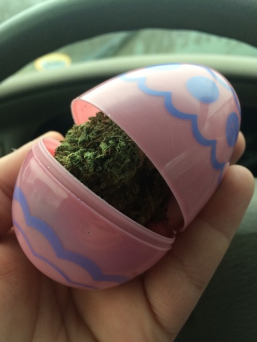 weedwanderlust:  My guy ran out of bags 