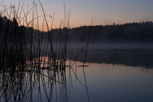 swedishlandscapes