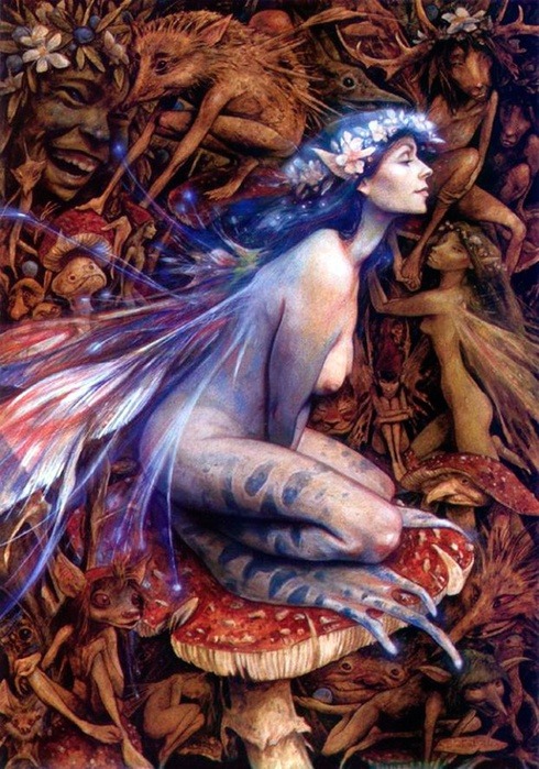 thiscommonplacebook:By Brian Froud