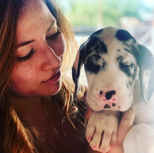 #mygirl #greatdane #puppyhttps://www.instagram.com/p/BpinMYijQbd/?utm_source=ig_tumblr_share&i