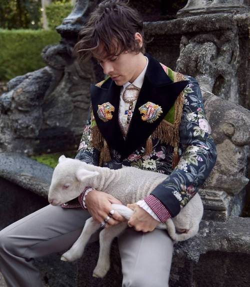 harrystylesdaily:  Harry Styles returns in a new Gucci Tailoring campaign shot by Glen Luchford in the gardens of Villa Lante outside of Rome.  