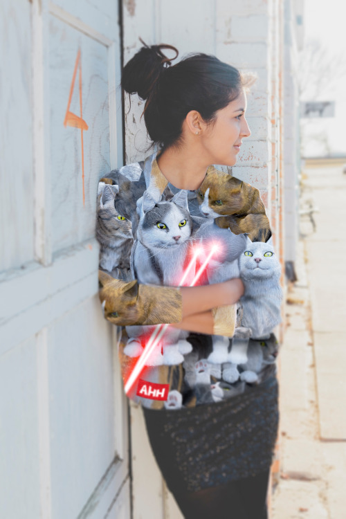 coca-cola:  That laser cat sweatshirt really porn pictures