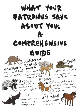 queenbrooklyna:  fleamontpotter:  click to make bigger!!!  THIS IS SO LONG i’ve literally included every animal in the world  once again this is based totally on science and facts i studied for 24 years at harvard   