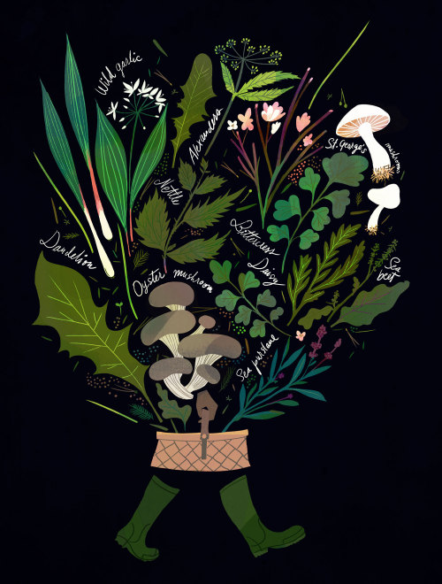carnetimaginaire: Sanna Mander, Wild