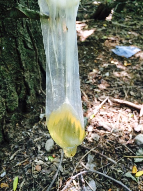 Everyday we see crazy things! Today I found a condom full of pee! Maybe some kids just tried to pee 