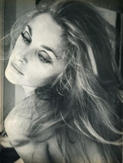 the60sbazaar: Sharon Tate  