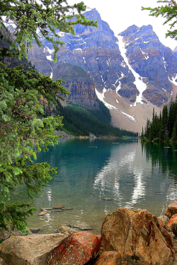 tulipnight:  CANADIAN ROCKIES by Earthlink Photography by P. Richter 