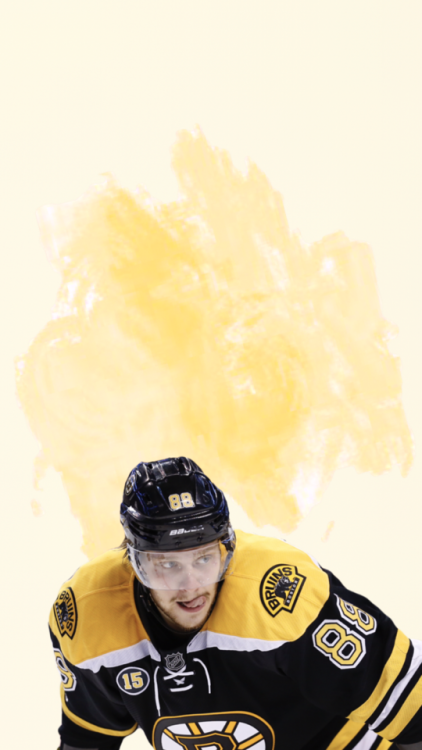 David Pastrnak /requested by @always-a-southern-state-of-mind​ &amp; @pandaliciousxo-love/