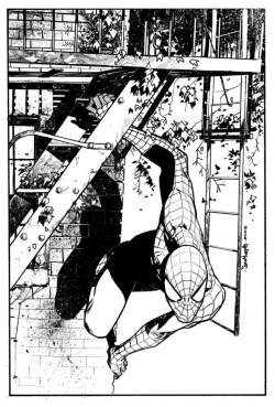browsethestacks:  Spider-Man by Sean Murphy 