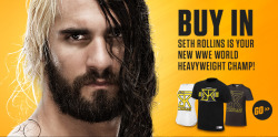 sethrollinsfans:  Euroshop Email Banner 