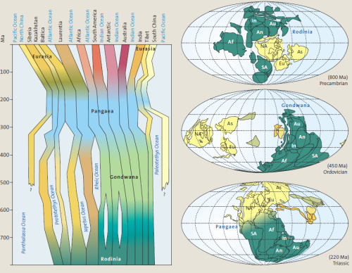 I like the graphic on the left - tracking the assembly of Gondwana and Pangaea, amongst other contin