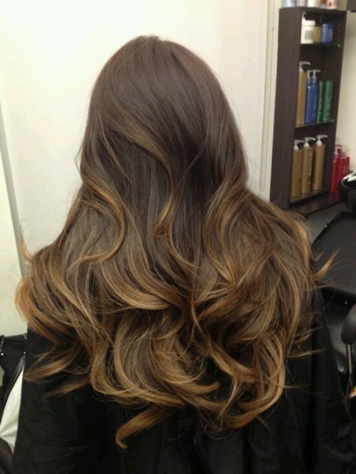 Honey brown hair with blonde highlights