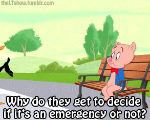 The Looney Tunes Show