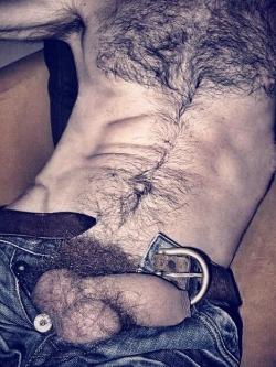 hairy-chests:  .Hairy Chests      