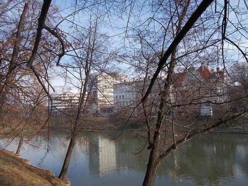 Wroclaw, Poland - trees near a pond.