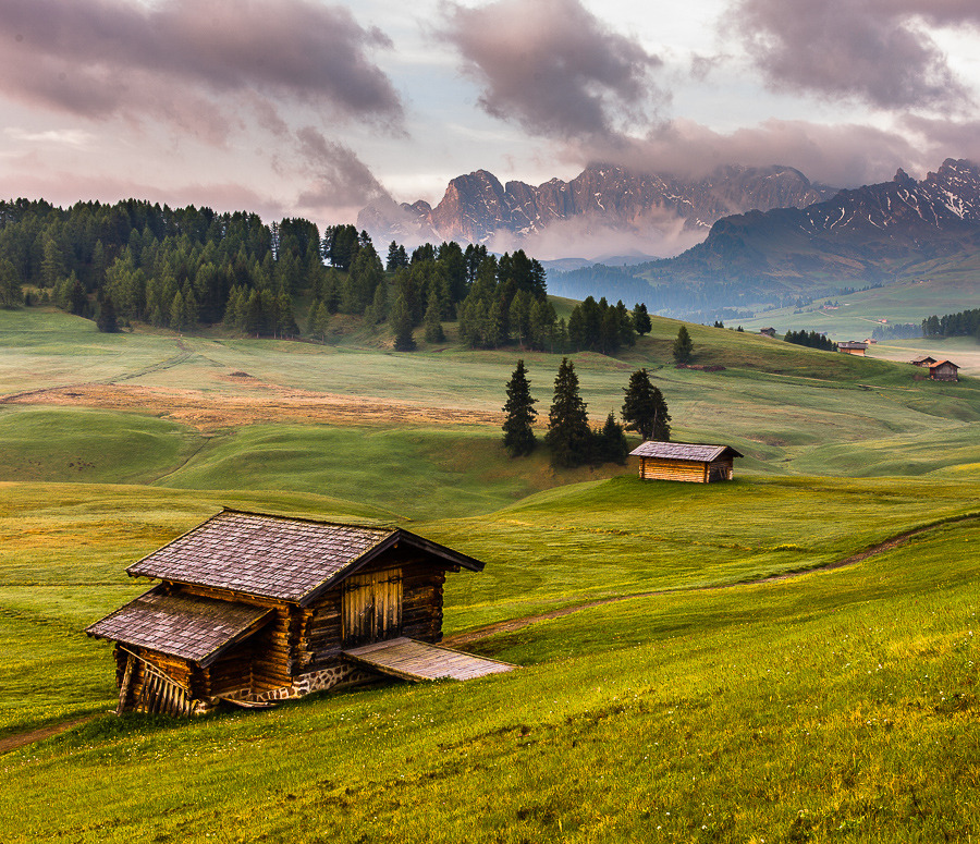woodendreams:  (by Hans Kruse) 