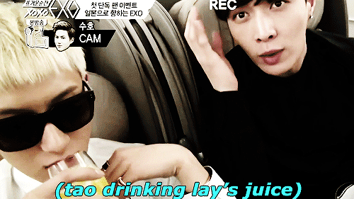 gayjikookadi:  tao drank all of lay’s juice so lay just asked for another one from the stewardess  