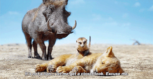Take Me There To Disneyland Review The Lion King 19 Spoilers