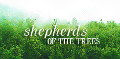 tiffaching:  lotr meme: three races → ents  &ldquo;But I have an odd feeling
