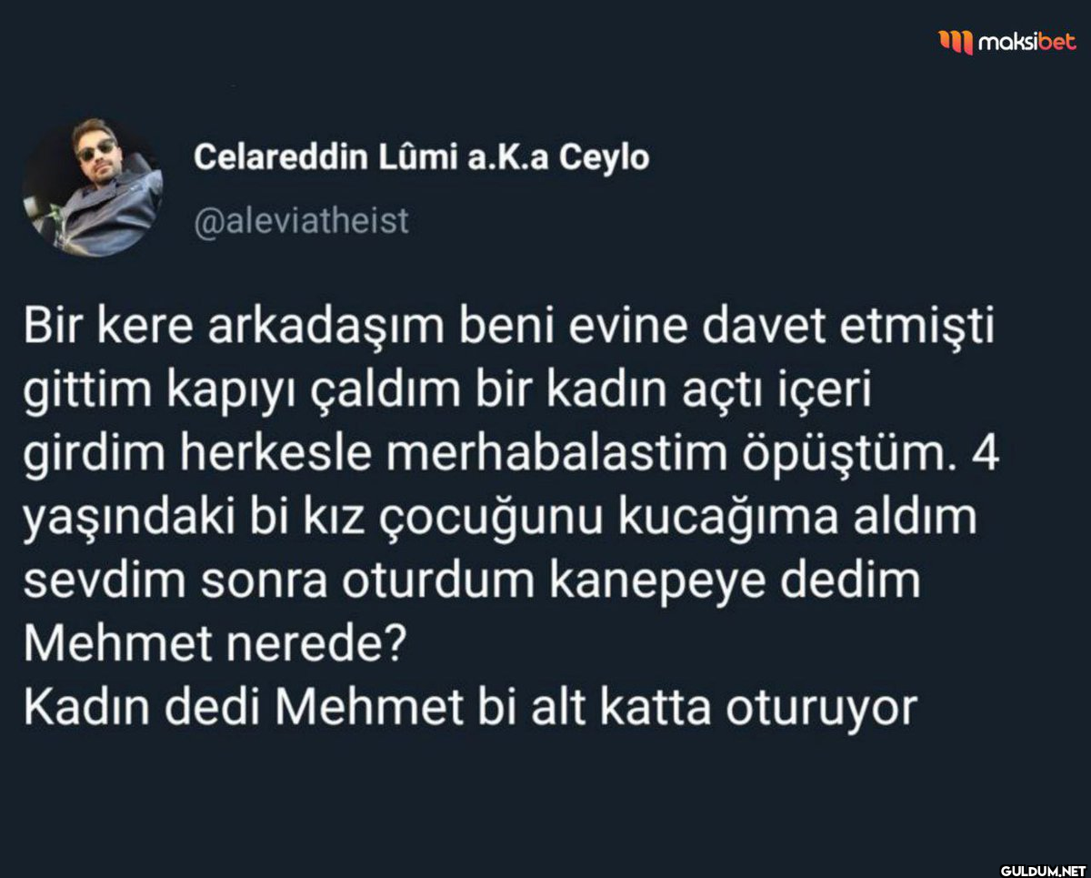 Celareddin Lûmi a.k.a...