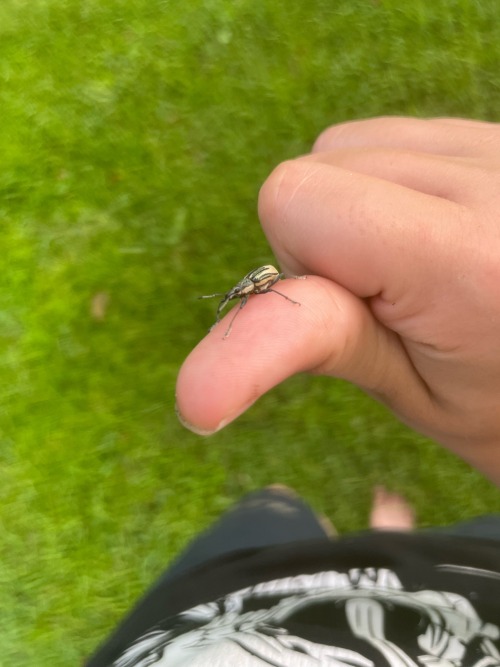BUG POST LETS GOOOO