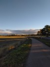 Just a autumn evening walk