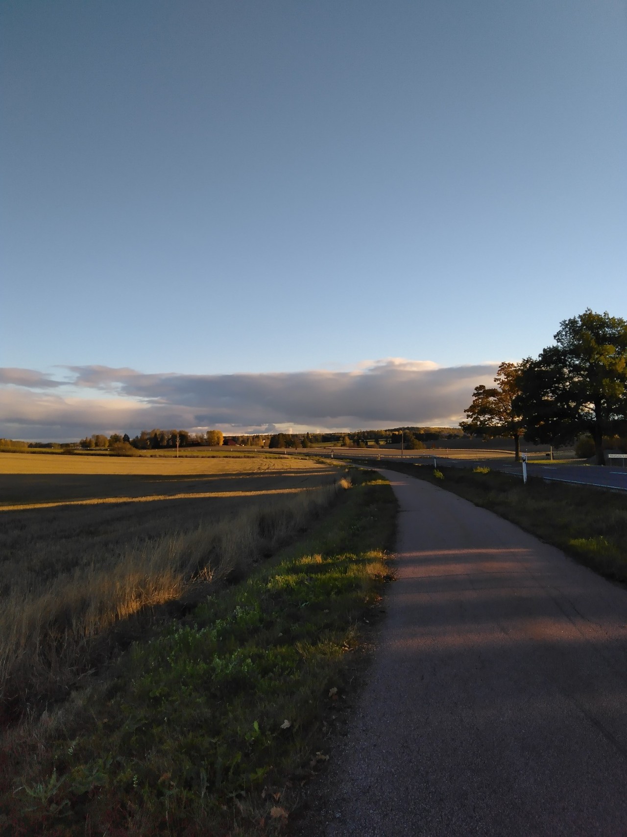 Just a autumn evening walk