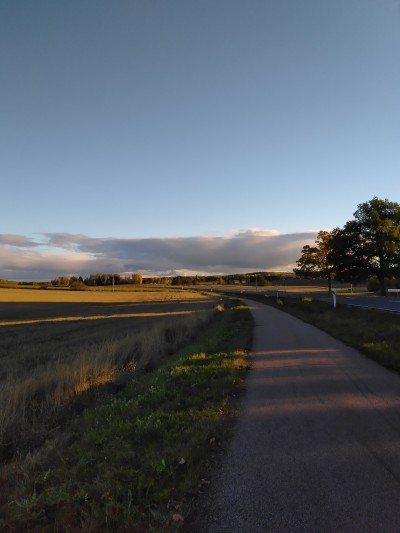 Just a autumn evening walk