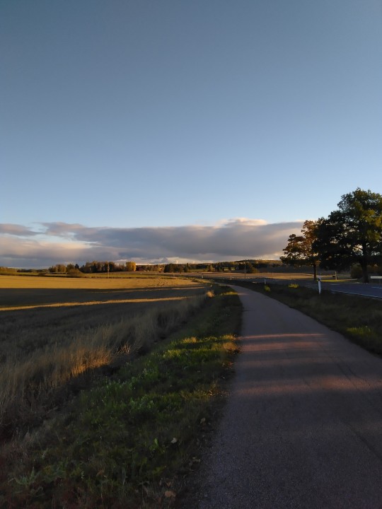 Just a autumn evening walk
