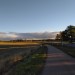 Just a autumn evening walk