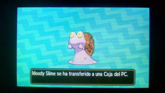 slbtumblng:  lol XD
