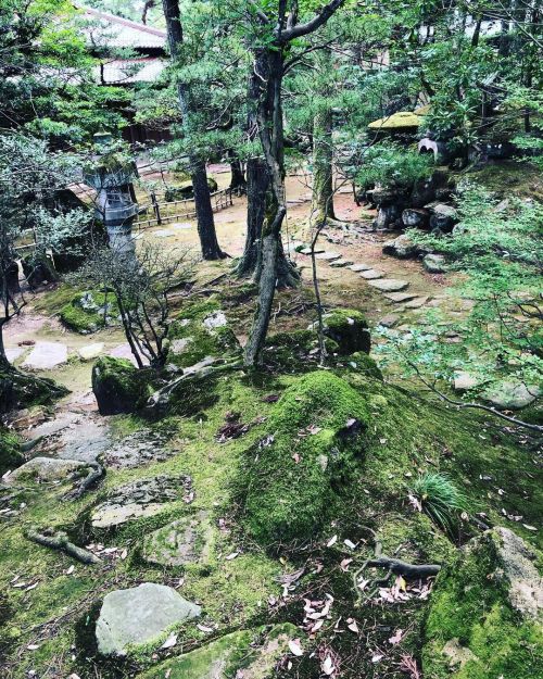 法師庭園 [ 石川県小松市 ] Houshi Ryokan Garden, Komatsu, Ishikawa の写真・記事を更新しました。 ーー創業1300年、46代目。“世界最古のホテル”の一つ、