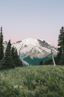 airfierce:  another-greenworld:  mt. rainier,