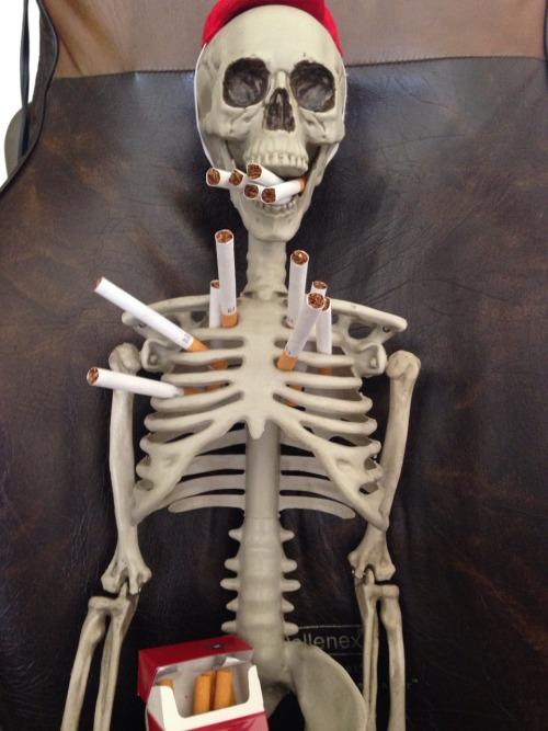 sebastian-the-spooky-skeleton:Chill fuck boy, it’s a metaphor.We can go deeper