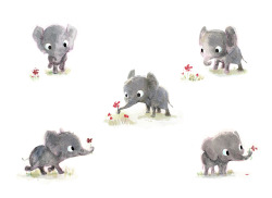 tayjardine:  sydwiki:  some little elephants.  oh my god. 