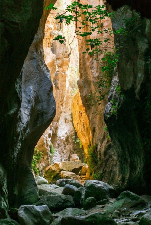 Avakas Gorge / Cyprus (by Luke Worswick).