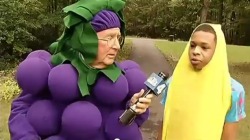 freak-on-a-panda:  nosdrinker:   Reporter wears grape costume to defend boy suspended for banana suit  solidarity  this is why i fucking watch the news 