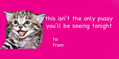 fantasticcatadventures:the purrfect valentine for that special someone 