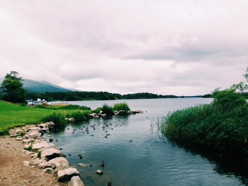 citylandscapes: like–home: Killarney, Ireland.Matheus Carvalho