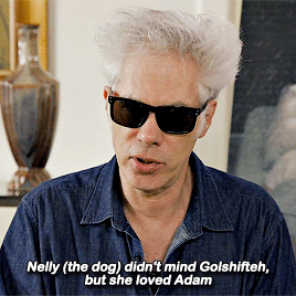 beneffleck:“Nelly, a wonderful dog that plays Marvin. She was a rescue dog and she was really a joy to work with. She kind of fell in love with Adam.” - Jim Jarmusch on the dog from Paterson