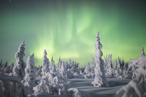 tiinatormanenphotography: Winter magic.  Lapland, Finland. by Tiina Törmänen | web | 