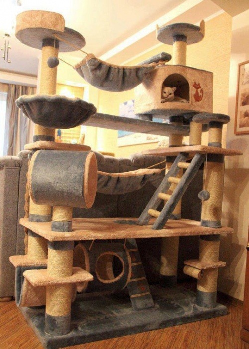 Pink cat tree condo