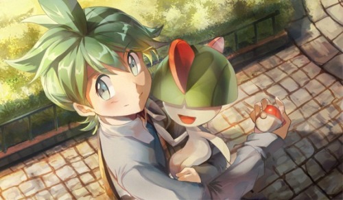 nnanaseharu14:-ORAS-
