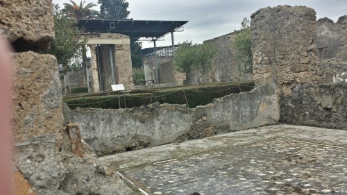 diogenesthesassmaster: Floor mosaics from Pompeii