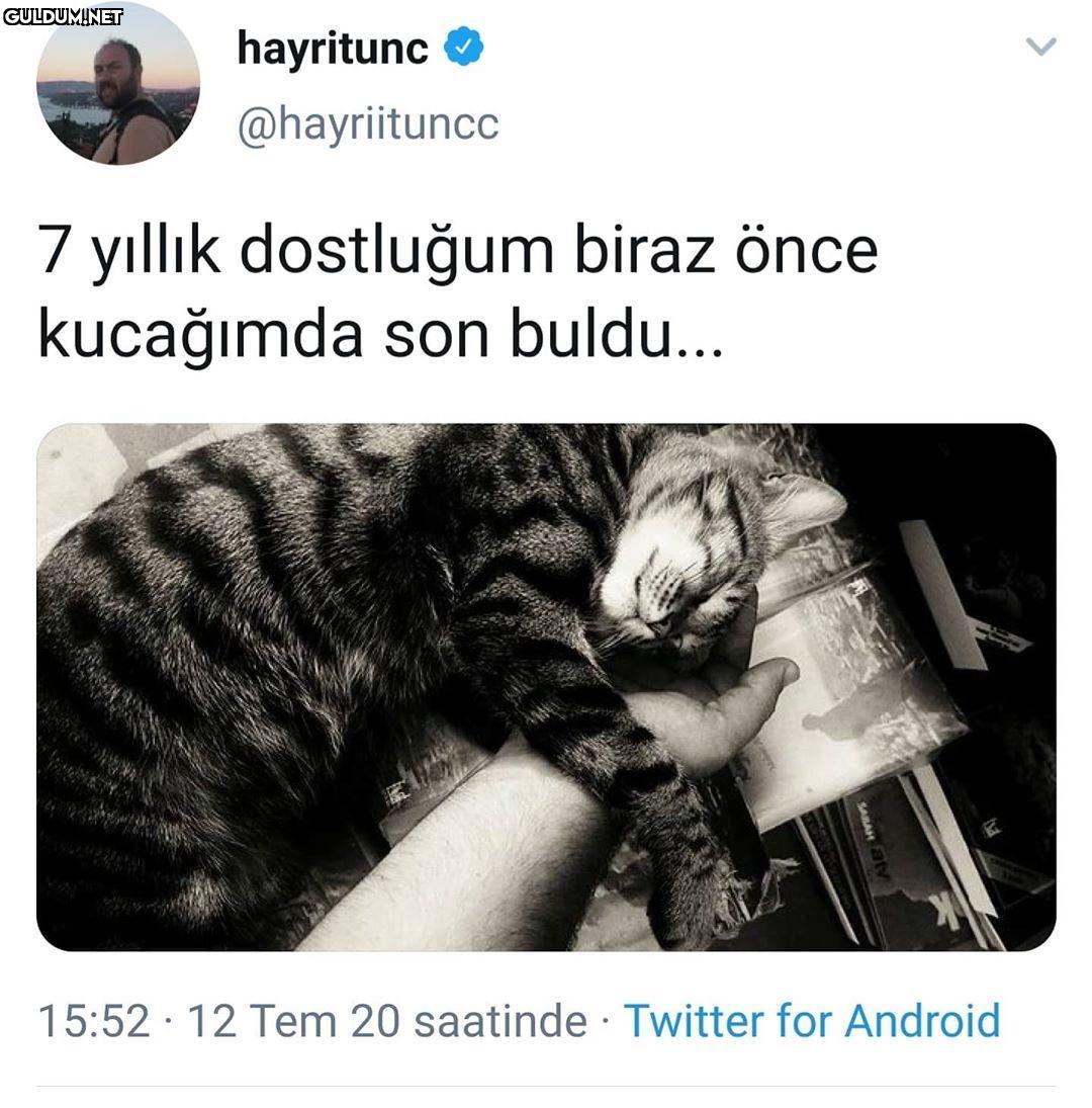 hayritunc @hayriituncc 7...