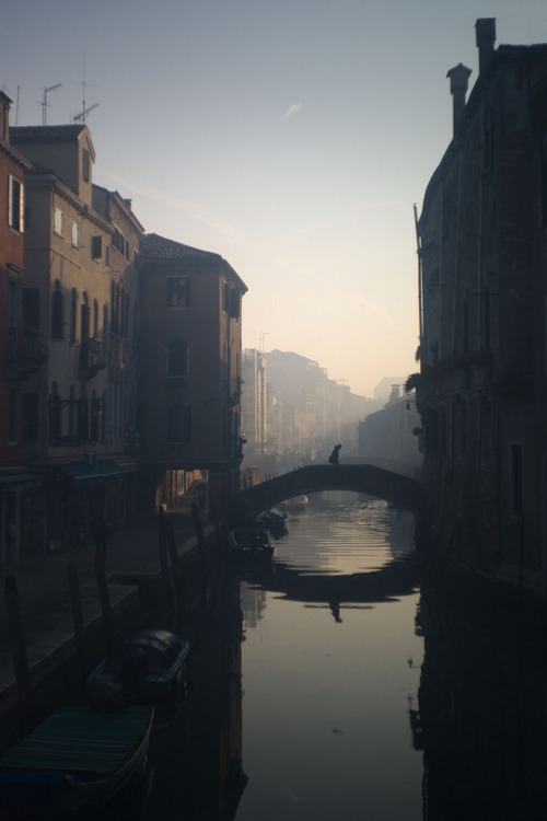 travelingcolors:Misty Venice | Italy (by Alexander nomotion)