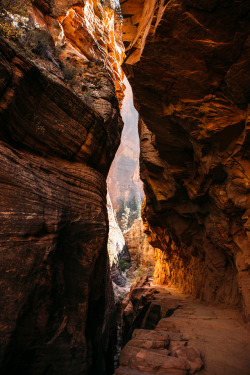 christophermfowler:Echo Canyon | Zion National Park | October 2017