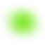 fovenus
